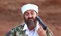 Tere Bin Laden Dead Or Alive - 2016